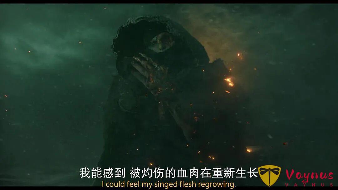 2025最新驚悚佳作《弗蘭肯斯坦/科學怪人》，上映當天評分飆到9.7！