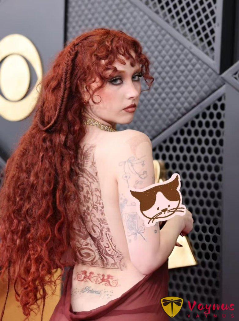 全程高能！2026格萊美紅毯名場面刷屏！Lady Gaga、Rosé紅毯同框