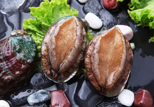 澳洲本土美食，不只有袋鼠肉和澳龙喔！