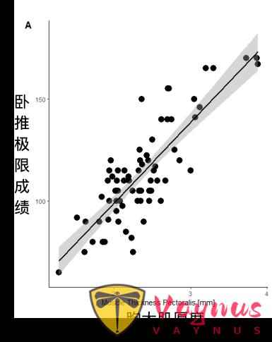 研究:你被“增肌不等於增力”騙了多少年