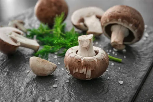 西餐可食用蘑菇简介