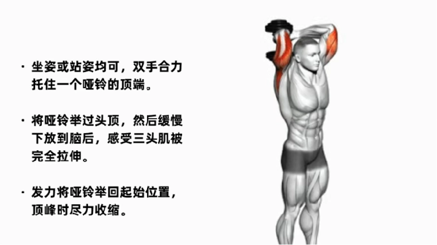 6 个最扎实的手臂训练动作，让你的麒麟臂暴涨起来！