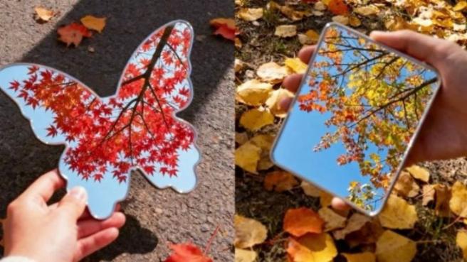 让镜子告诉你秋天有多漂亮!一面镜子让我的秋天照片封神了丨附拍摄教程