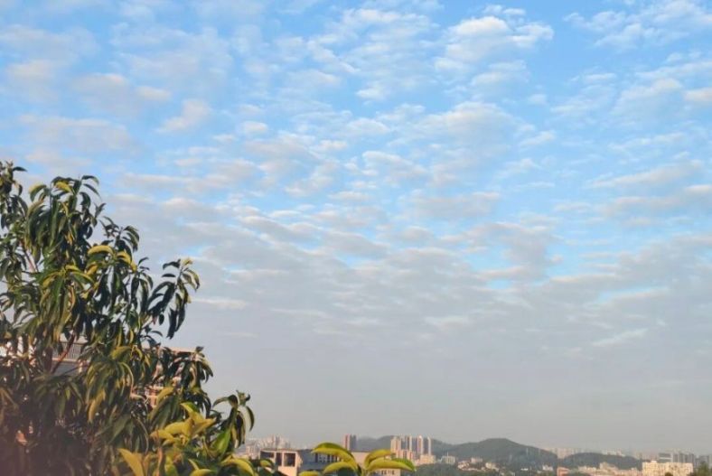 別再為小事糾結:把心力留給真正重要的事