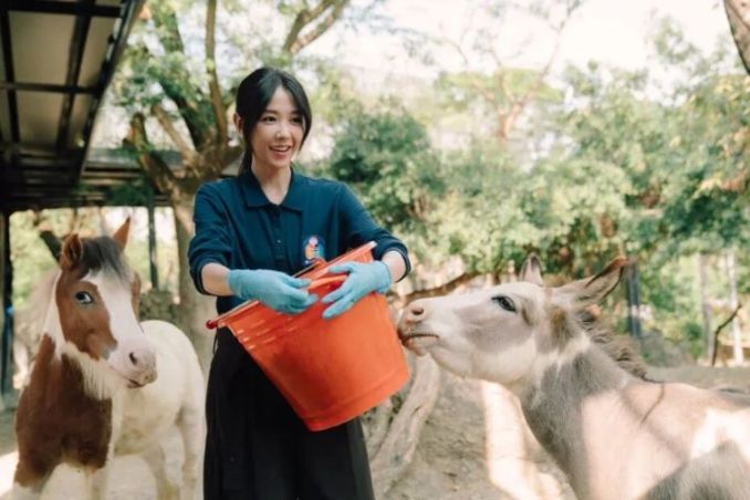 又官宣一部臺劇《動物園》，他倆二搭了，這劇，近期最甜！