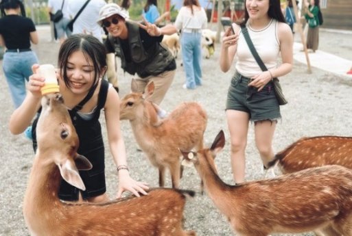 破解親子農場“一次性消費”魔咒的三個關鍵,張美阿嬤農場的模式值得我們學習!