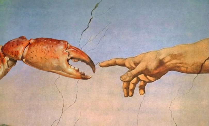 一覺醒來，Moltbook橫空出世！人類被禁言，AI自己專屬的社群 ！