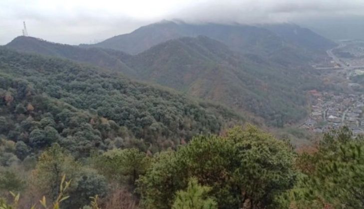 三女将斗天斗地斗“台独”