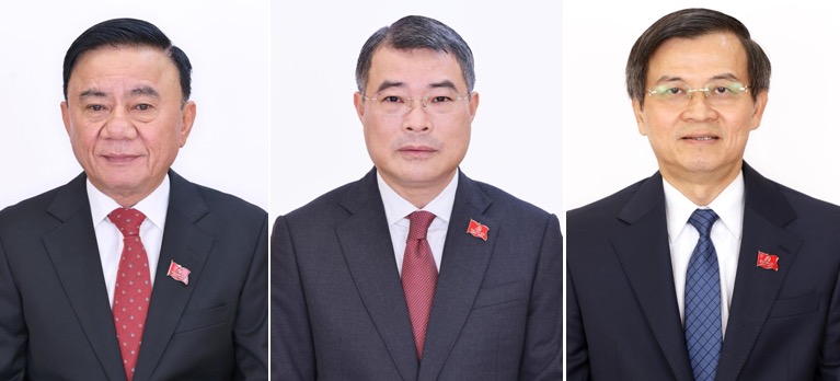 越共十四大局委中為什麼沒有副總理？