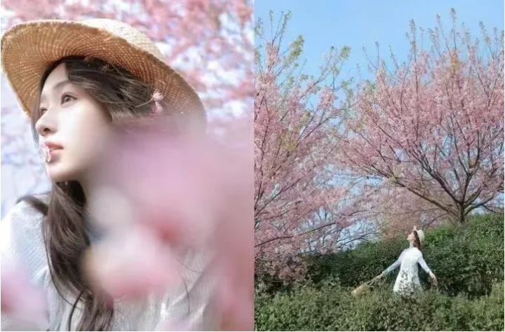 早说啊！早春的樱花这么怕可太美了~（附拍照教程）