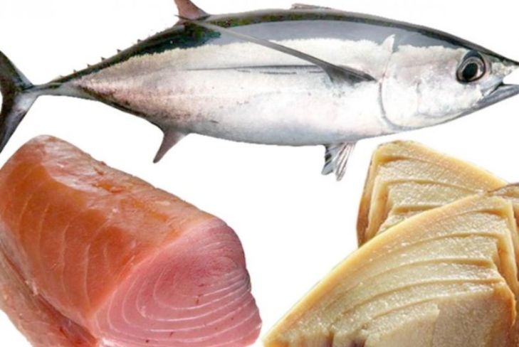 金枪鱼：轻食减脂中的优质蛋白之选