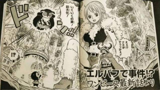 海贼王1178话：乔巴和索隆击败恶魔傀儡，图书馆的书籍消失了