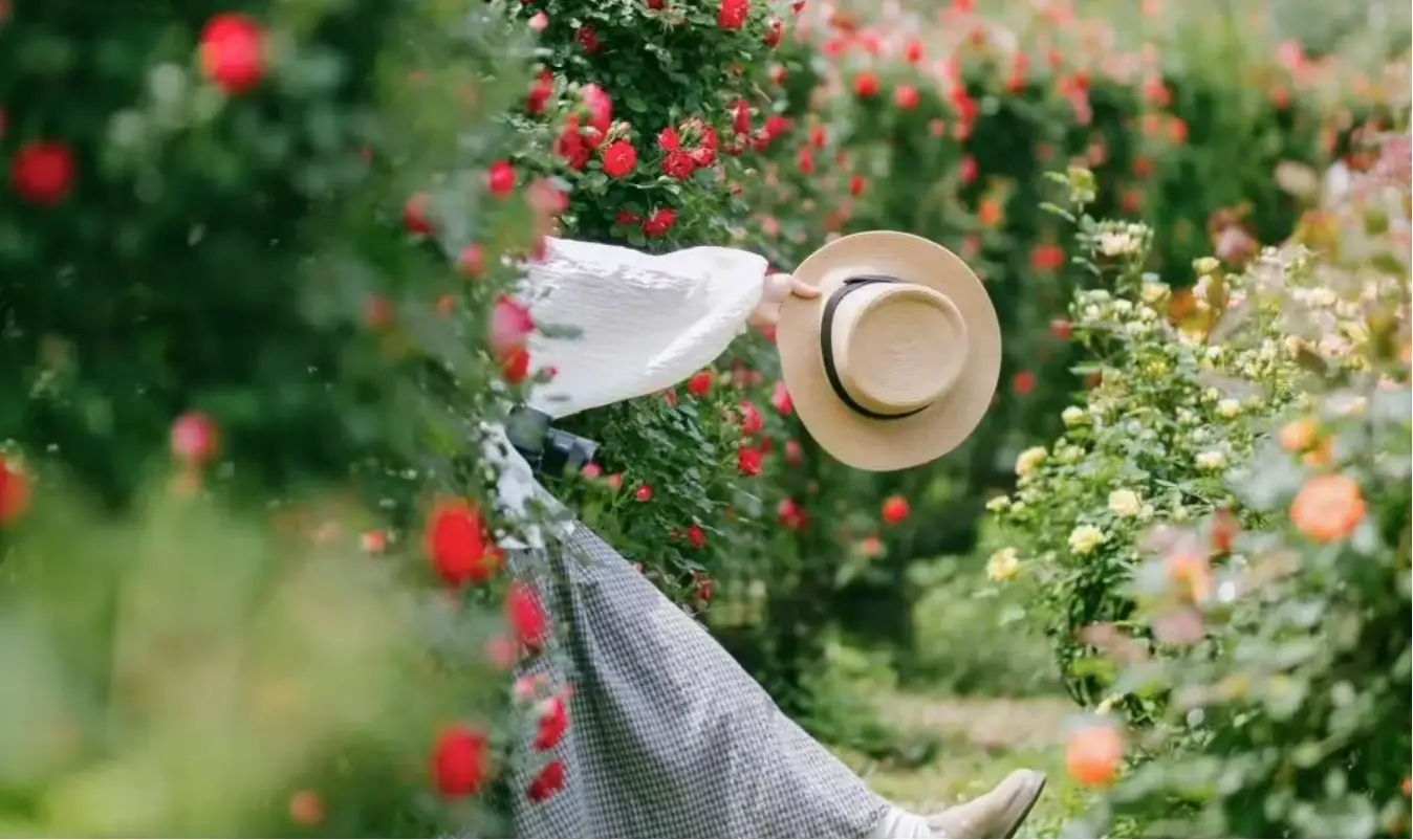 一頭扎進春天裏，我找到拍氛圍照的訣竅了