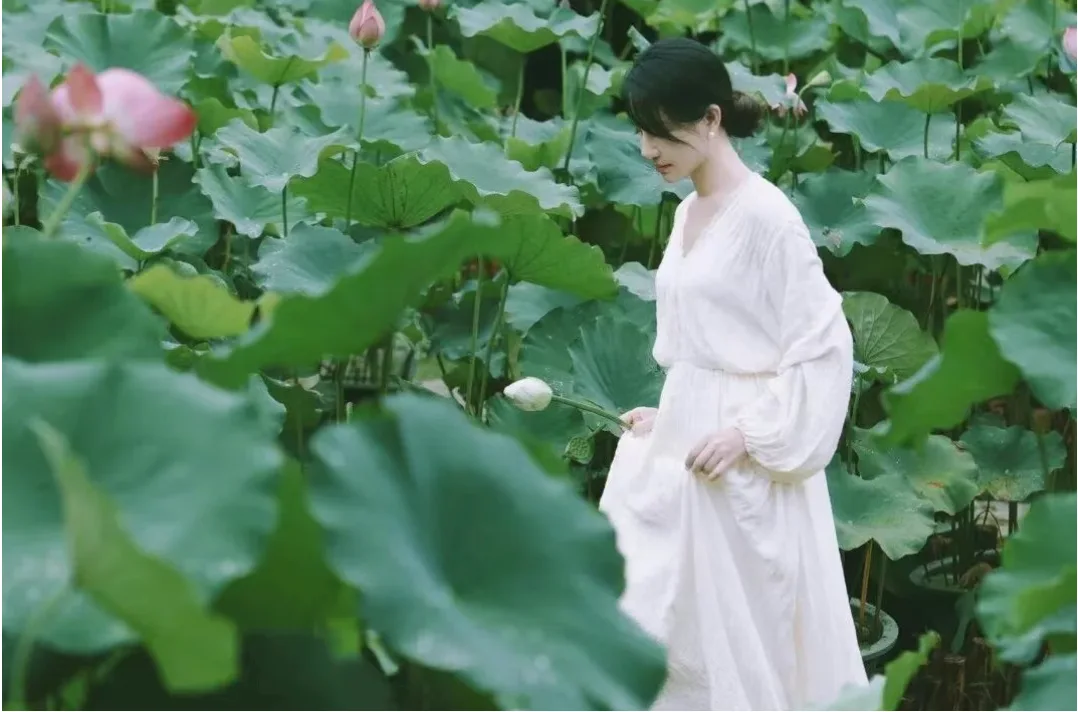 夏日荷花这么拍!get这五个拍照姿势+技巧!美翻朋友圈,秒变“花仙子”