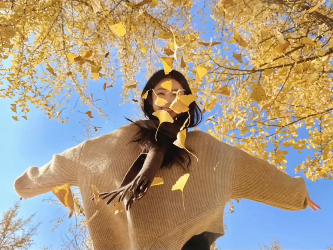 存一些秋天神级落叶拍照姿势，超简单，不挑人不挑景，秋日氛围照轻松get