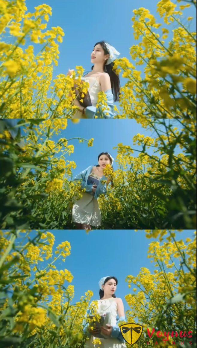 油菜花這麼拍文藝也出片,5個拍照技巧,簡單易學!輕鬆拍出女神範