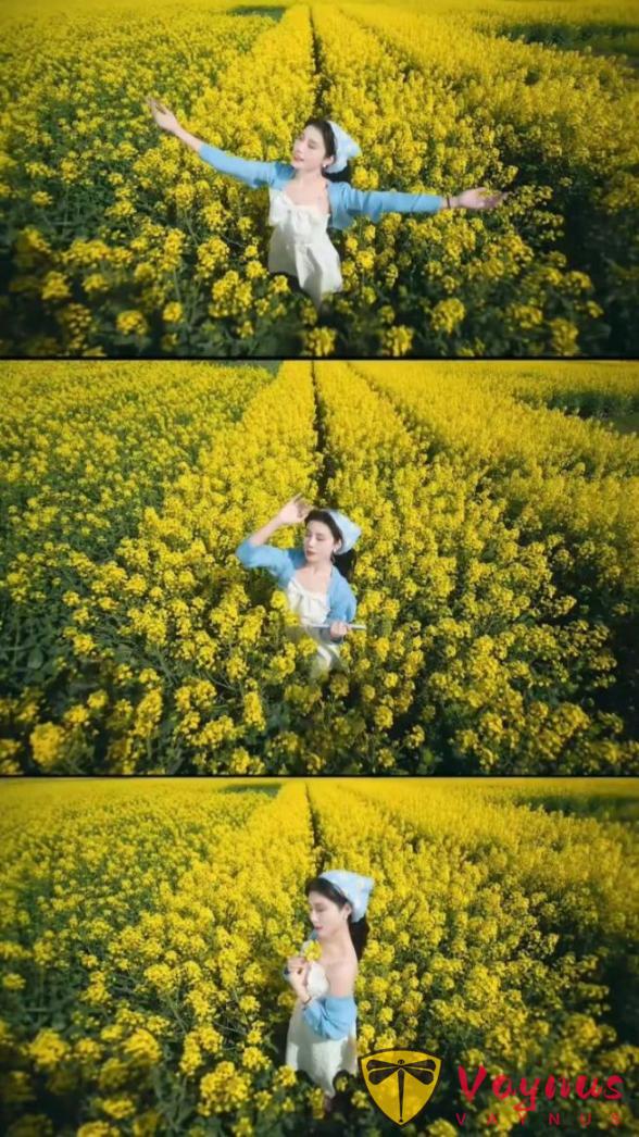 油菜花這麼拍文藝也出片,5個拍照技巧,簡單易學!輕鬆拍出女神範