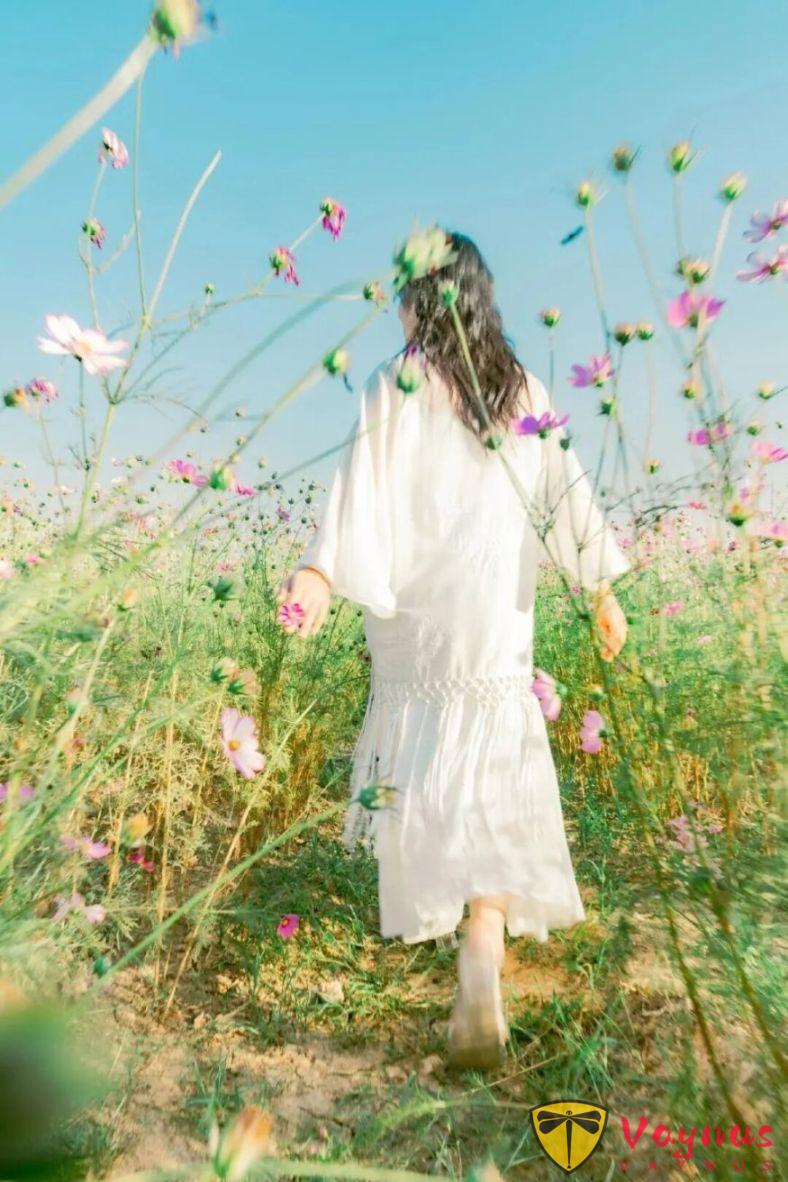 去拍格桑花吗？7个拍照姿势技巧，简单详细好学，拍出童话世界的粉色花海