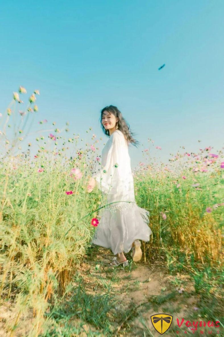 去拍格桑花吗？7个拍照姿势技巧，简单详细好学，拍出童话世界的粉色花海