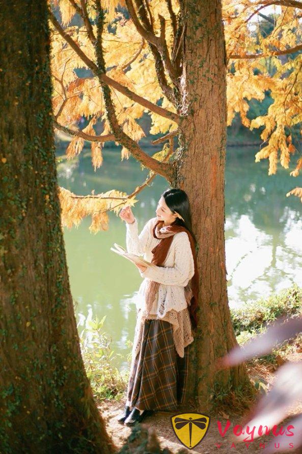 秋冬公園試試這樣怕，氛圍感直接拉滿，誰拍誰漂亮出片！