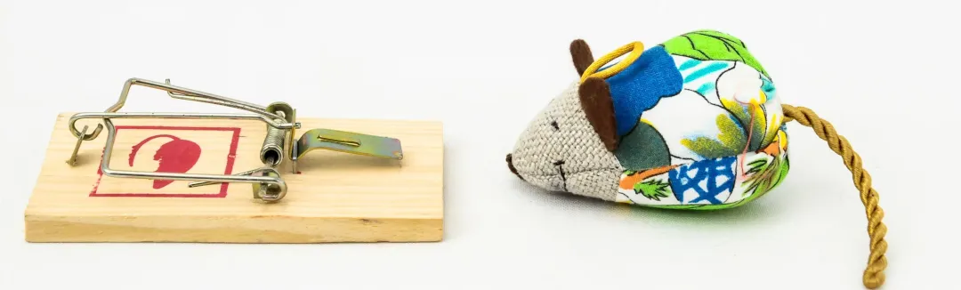 由漢坦病毒引起的急性傳染病:腎綜合徵出血熱如何應對?