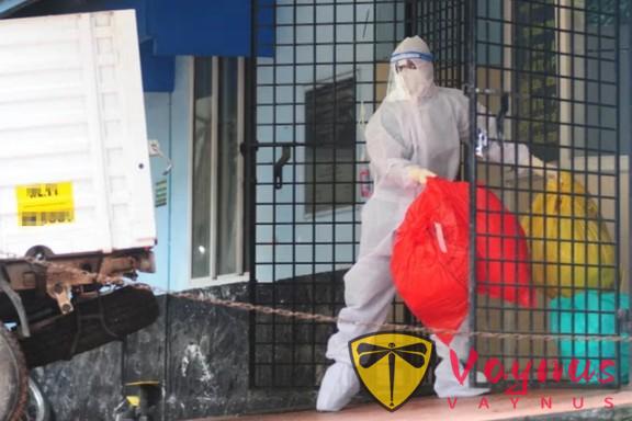 美国首次发现70%致死率的“亨尼帕病毒”后,印度又暴发了尼帕病毒疫情!多国出手应对,有游客紧急取消行程