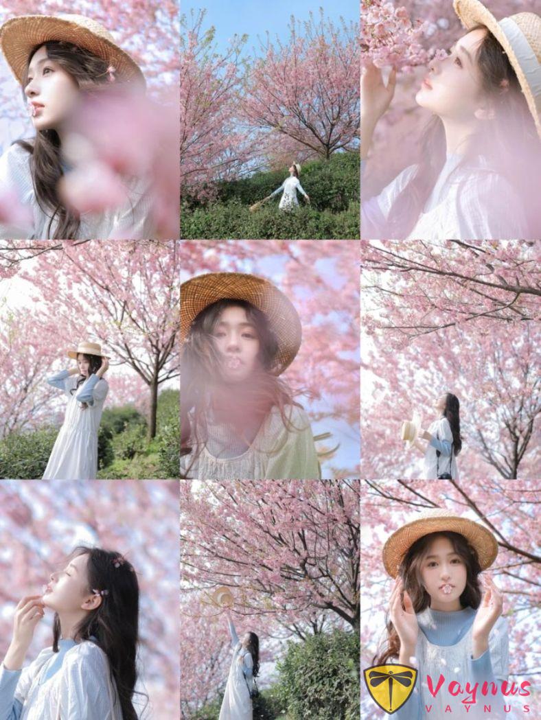 早说啊!早春的樱花这么怕可太美了~(附拍照教程)