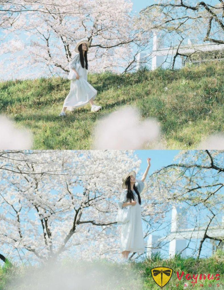 早说啊!早春的樱花这么怕可太美了~(附拍照教程)