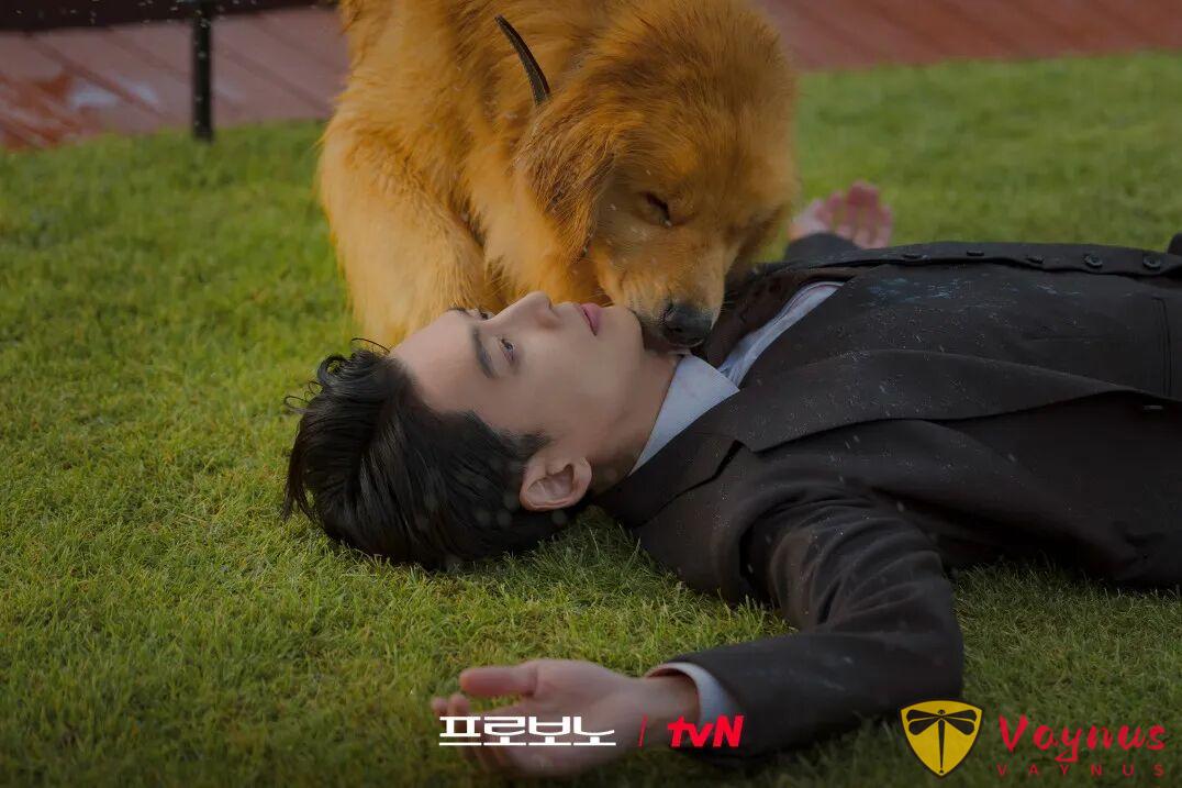 《公益律師/無償服務》首播收視創佳績!題材封神,又殺出一部黑馬劇!