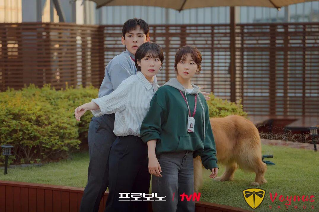 《公益律師/無償服務》首播收視創佳績!題材封神,又殺出一部黑馬劇!