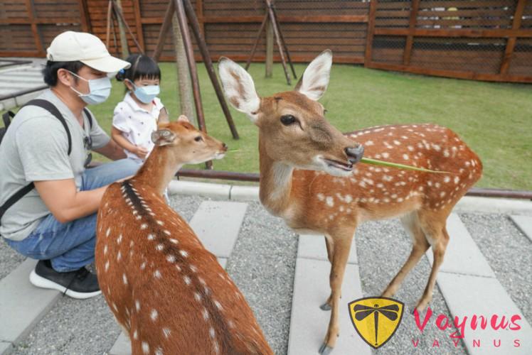 破解親子農場“一次性消費”魔咒的三個關鍵,張美阿嬤農場的模式值得我們學習!