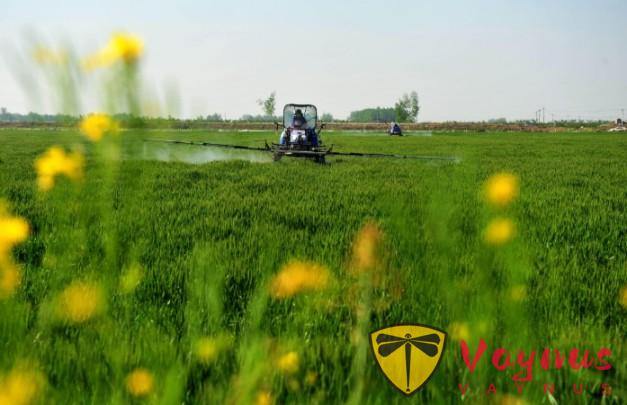 破解親子農場“一次性消費”魔咒的三個關鍵,張美阿嬤農場的模式值得我們學習!