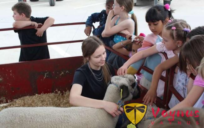 破解親子農場“一次性消費”魔咒的三個關鍵,張美阿嬤農場的模式值得我們學習!