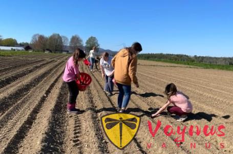 破解親子農場“一次性消費”魔咒的三個關鍵,張美阿嬤農場的模式值得我們學習!