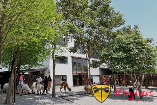 破解親子農場“一次性消費”魔咒的三個關鍵,張美阿嬤農場的模式值得我們學習!