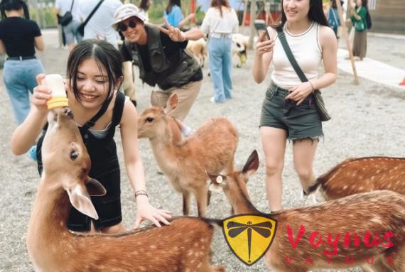 破解親子農場“一次性消費”魔咒的三個關鍵,張美阿嬤農場的模式值得我們學習!