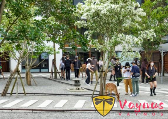 破解親子農場“一次性消費”魔咒的三個關鍵,張美阿嬤農場的模式值得我們學習!