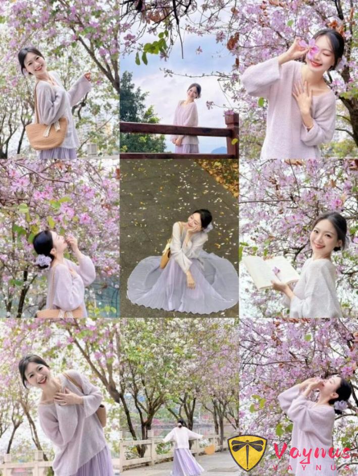 紫荆花这样拍绝了!6个拍照姿势,春日氛围拉满,谁拍谁漂亮出片!