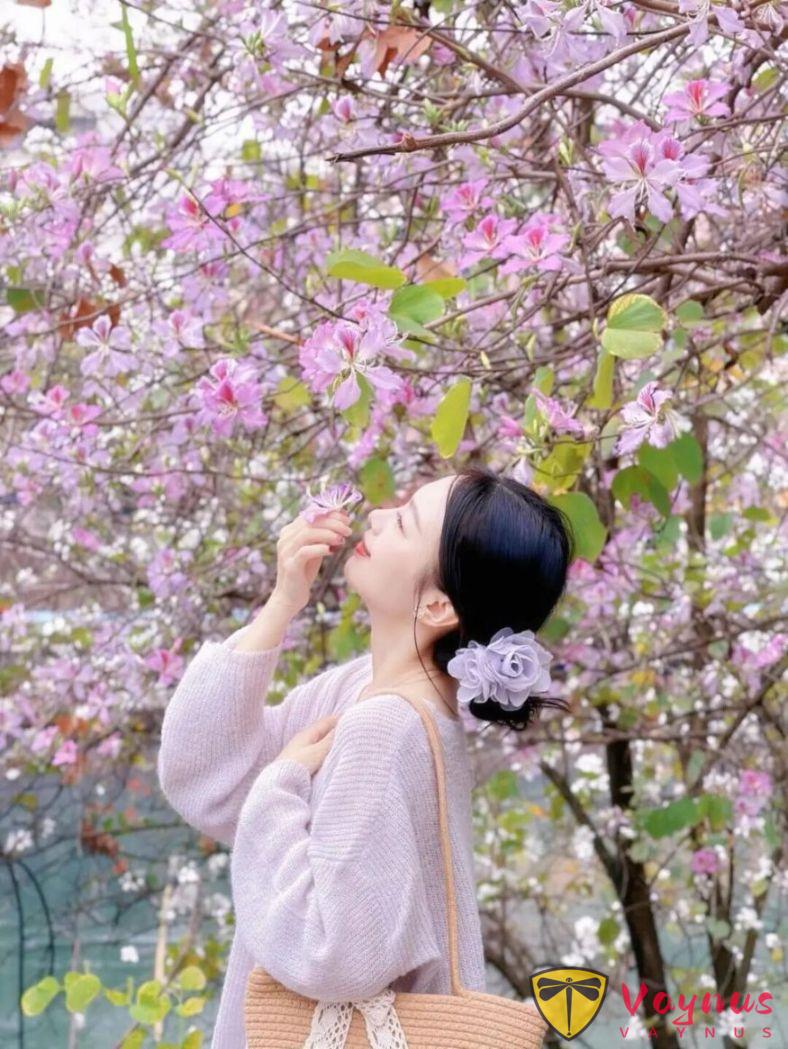 紫荆花这样拍绝了!6个拍照姿势,春日氛围拉满,谁拍谁漂亮出片!