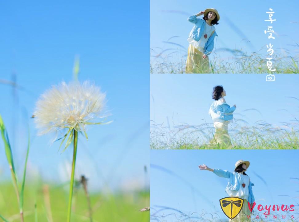 原来这就是宫崎骏的夏天,户外草地这样拍太美了,普通人也会拍!