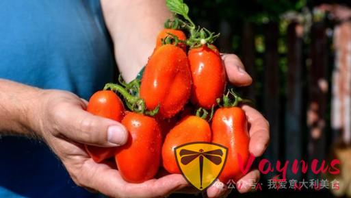 圣马扎诺番茄：意大利美食的支柱