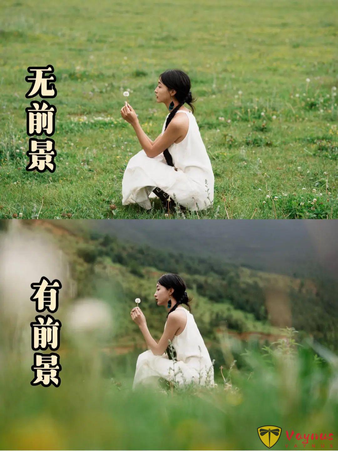 最容易出片的拍照技巧，网友：“为什么不早点教我这样构图！”