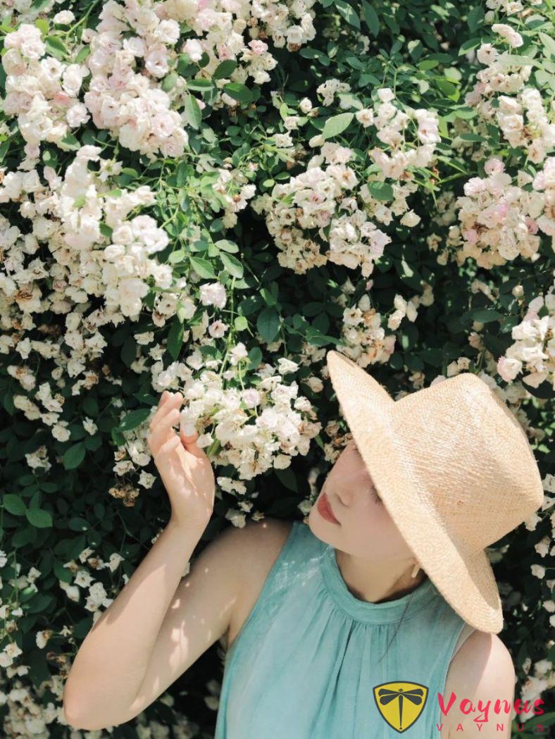 5個花牆氛圍感拍照技巧，好擺又好拍，隨手拍都美到開掛！