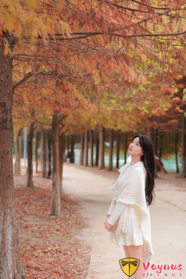 错过等一年，最美水杉红了！9个拍照姿势，原图直出美哭了