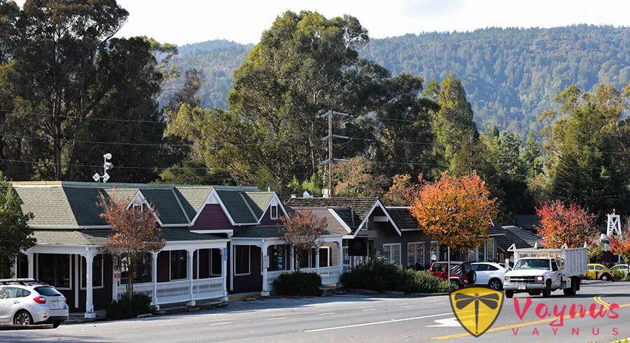 你住的ZipCode上榜了嗎?2025矽谷財富地圖公開!