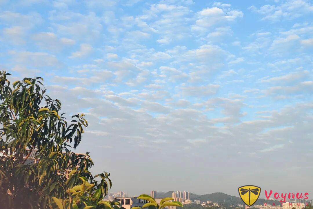 別再為小事糾結:把心力留給真正重要的事