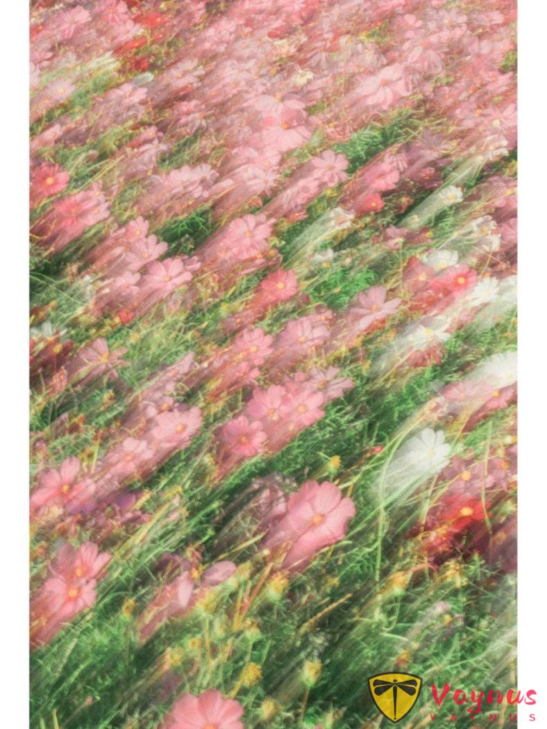 当我尝试用慢门拍花，油画般的质感像一场慢慢晃动的梦境～美得不像话（附拍摄技巧）