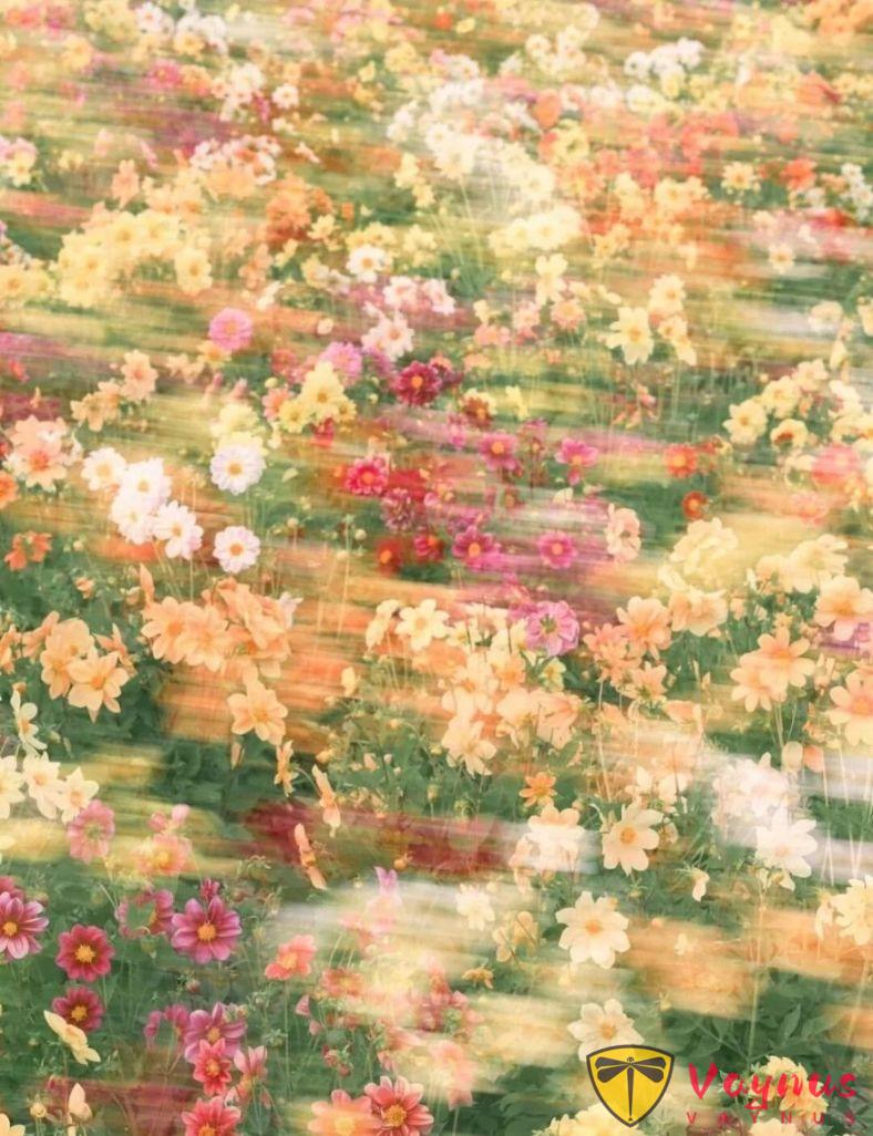 当我尝试用慢门拍花，油画般的质感像一场慢慢晃动的梦境～美得不像话（附拍摄技巧）