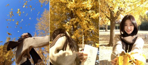 存一些秋天神级落叶拍照姿势,超简单,不挑人不挑景,秋日氛围照轻松get