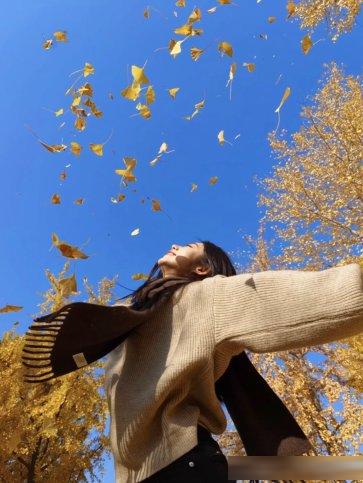 存一些秋天神级落叶拍照姿势,超简单,不挑人不挑景,秋日氛围照轻松get